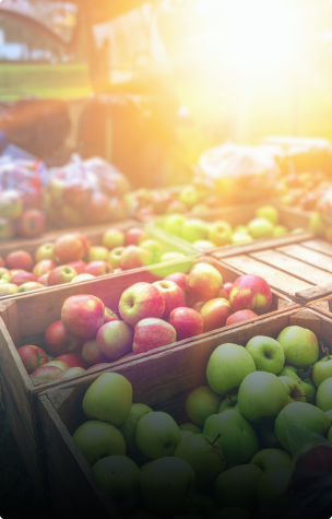 Engage with the community: Ripley Farmers’ Market, Surrey
